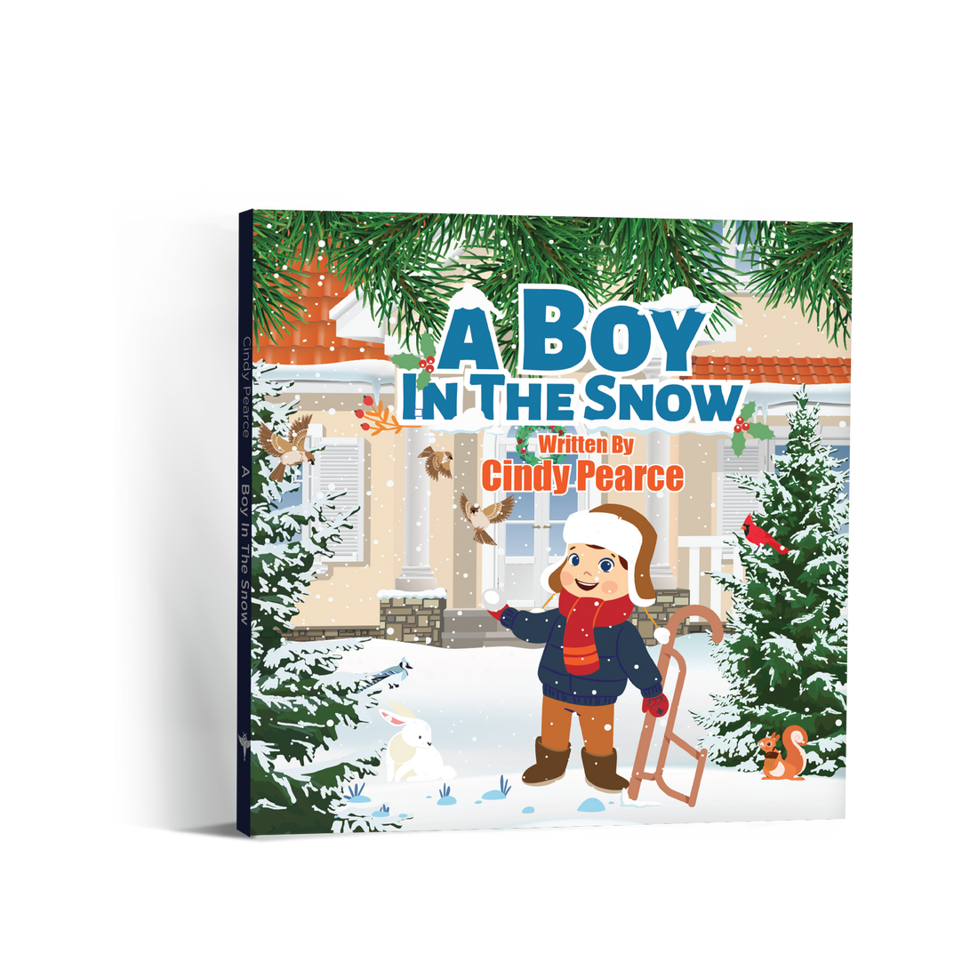 A Boy in the Snow — Read-Aloud Now Live